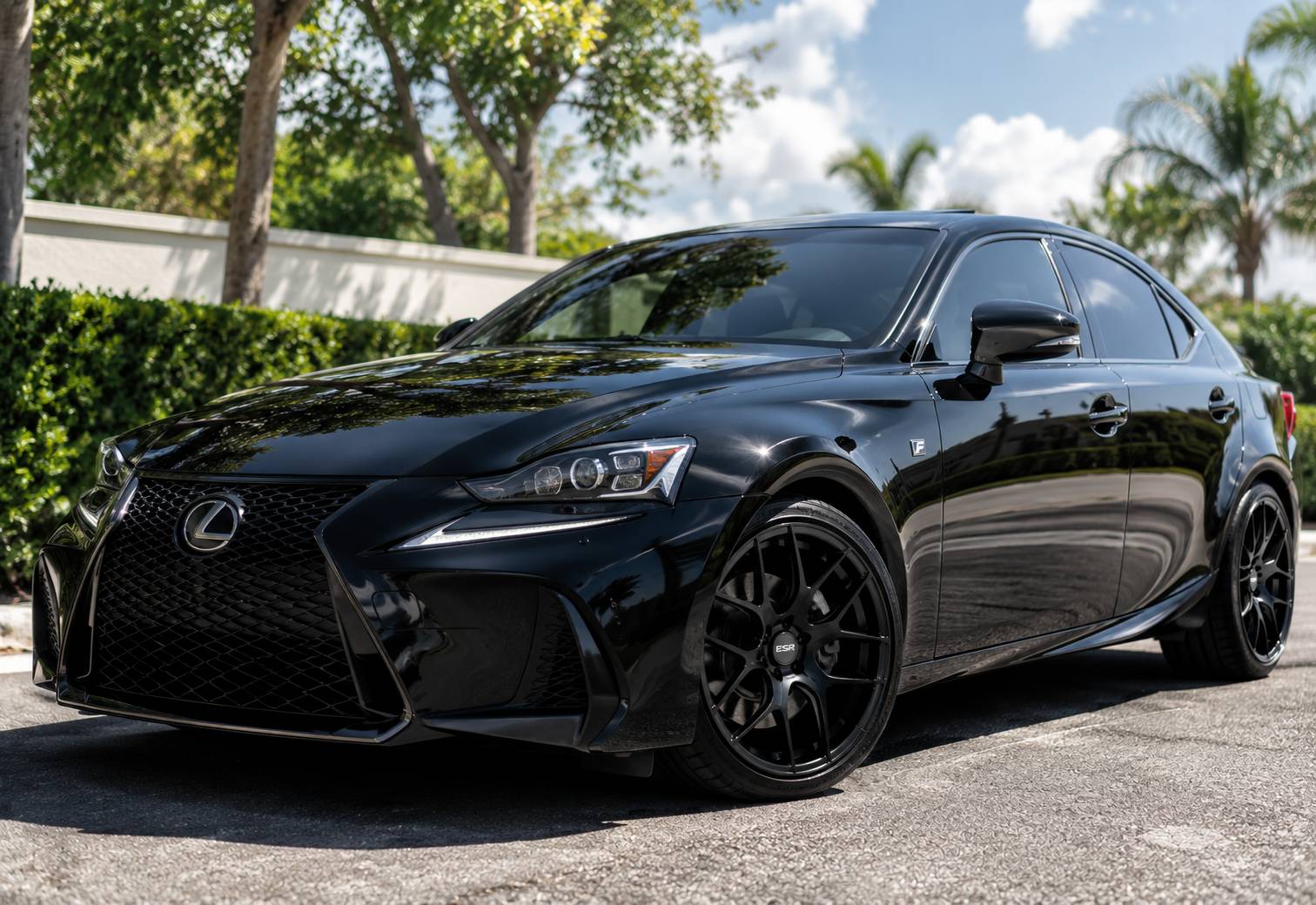 Lexus IS 200t F SPORT featured detail by Ascent Auto Finish Co.
